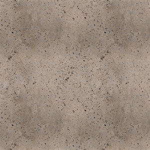 Sandstone Concrete Cochlear Nucleus 6 Skin